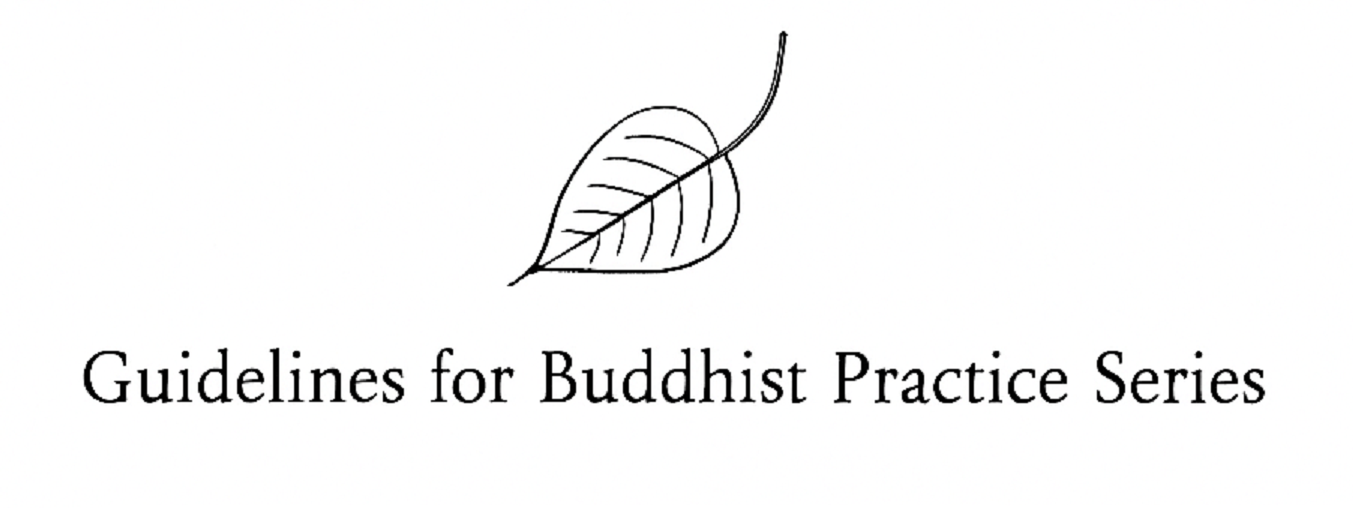 Practice Guidance Series